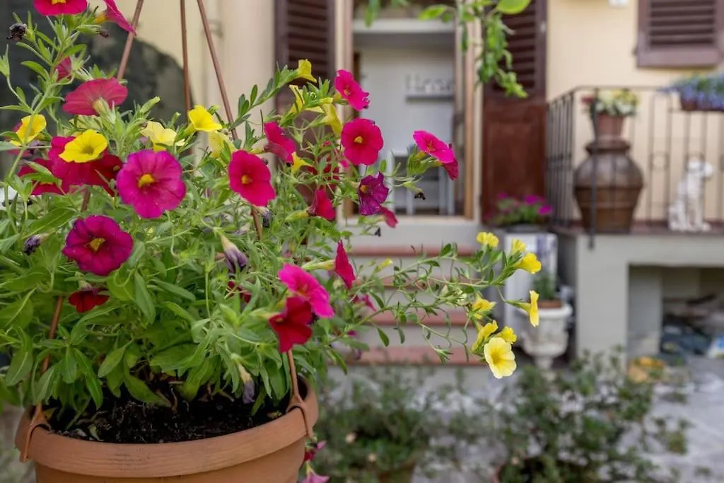 Loft Azalea Garden Wifi Air Conditioning Florence Italy